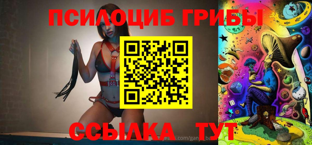 Заринск  наркота  Вход с VPN  Псилоцибиновые грибы Psilocybine cubensis  Галлюциногенные грибы мицелий 