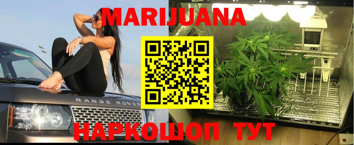 Бошки марихуана White Widow  Марихуана гибрид  Заринск  Вход с VPN 